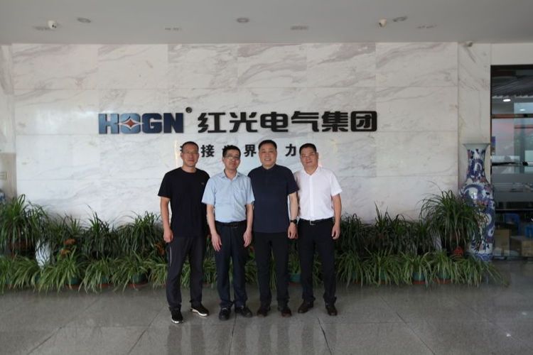 乐清市市场监视局刘勇局长一行莅临9001cc金沙以诚为本电气集团调研